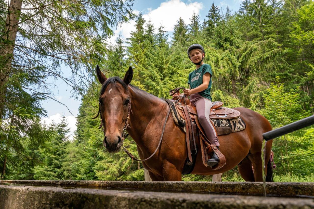 Apart Garni Montana Pertisau Eksteriør bilde